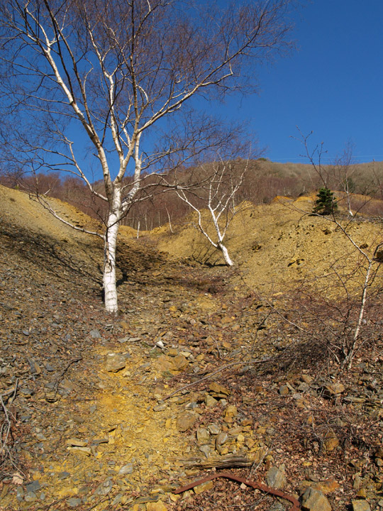 Cwm Rheidol Mine