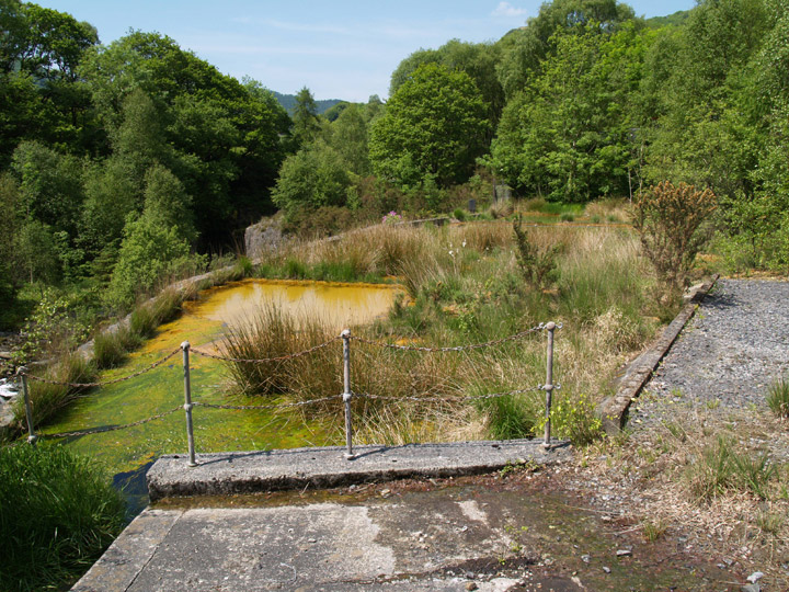 Cwm Rheidol Mine