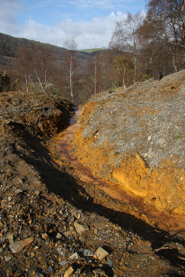Cwm Rheidol Mine