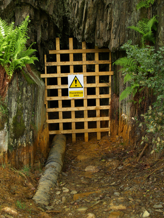 Cwm Rheidol Mine