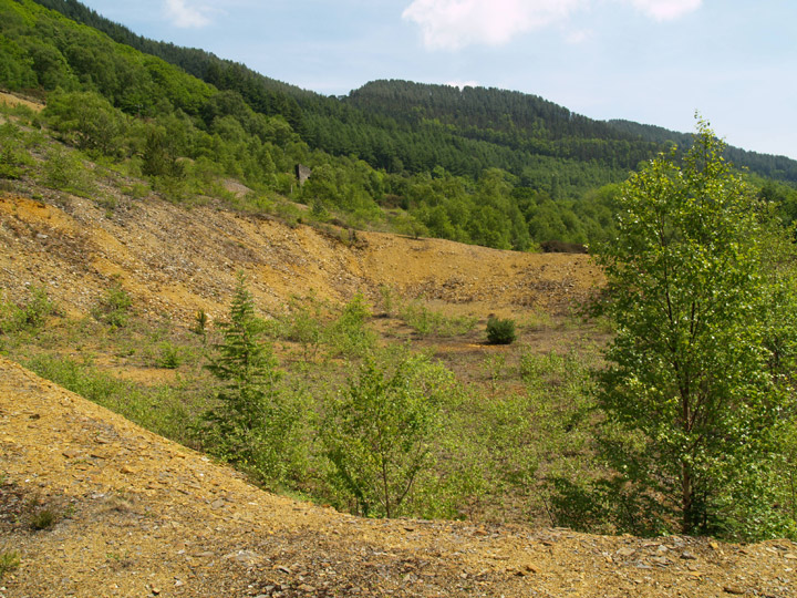 Cwm Rheidol Mine