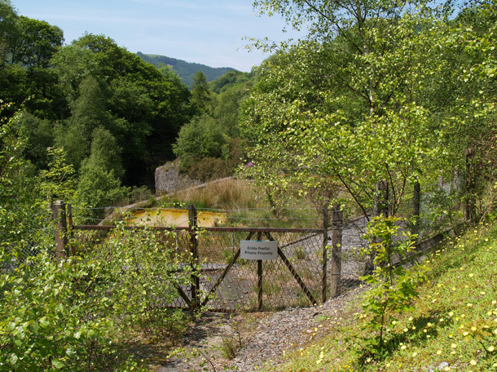 Cwm Rheidol Mine