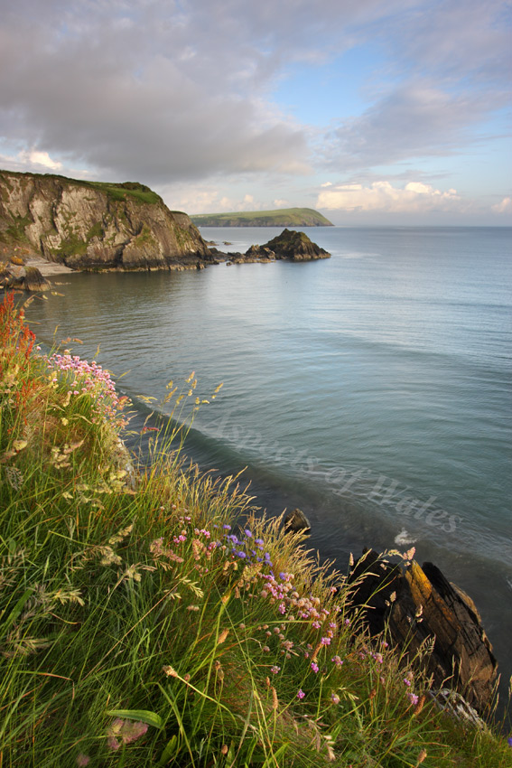 Cat Rock, Newport, Pembrokeshire
