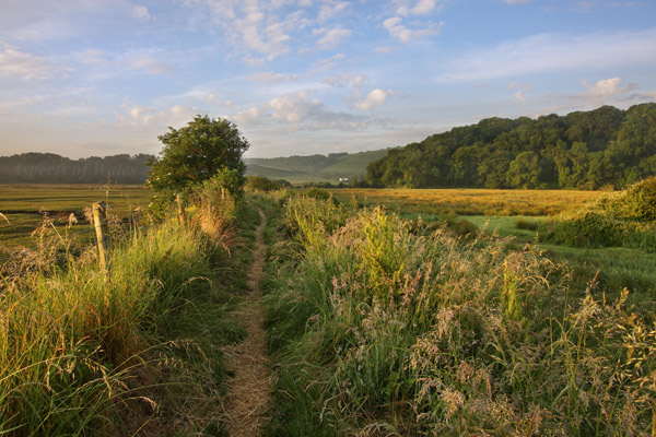 The Groose, Cheriton