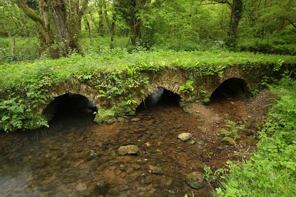 Triple Arch Bridge, Cheriton Valley, Gower