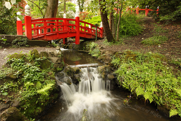 Japanese Bridge, Clyne Gardens, Swansea