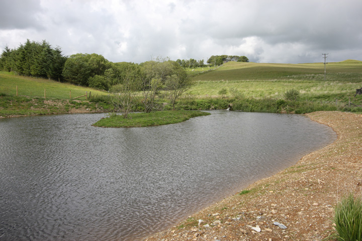 Frongoch Mine