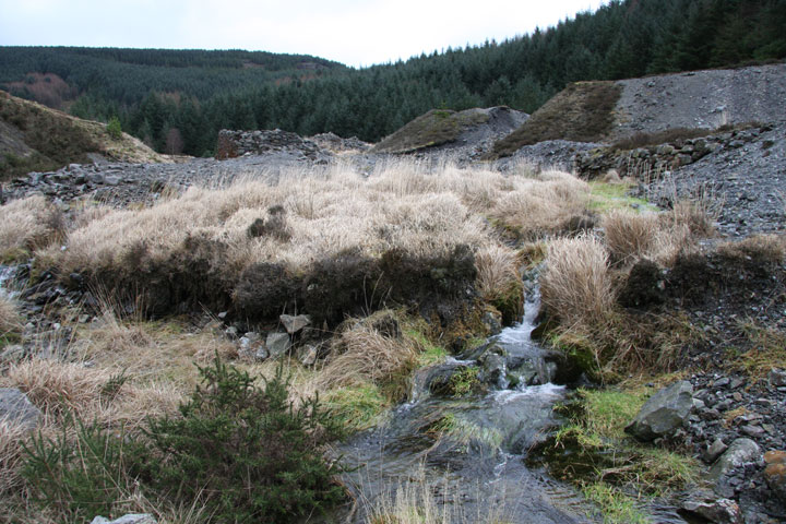 Nant y Mwyn Mine
