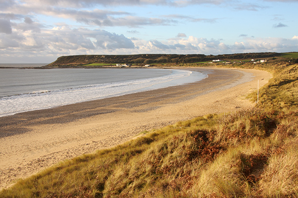 Port Eynon Bay, Gower