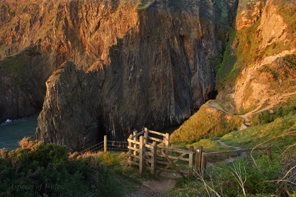 Pwllcrochan, Pembrokeshire Coast Path