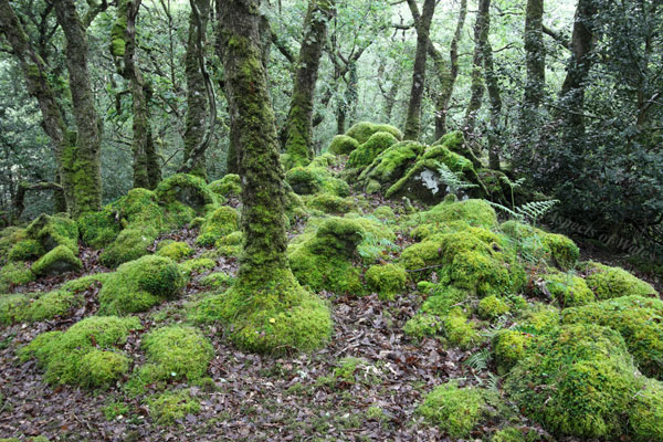 Ty Canol, Pembrokeshire