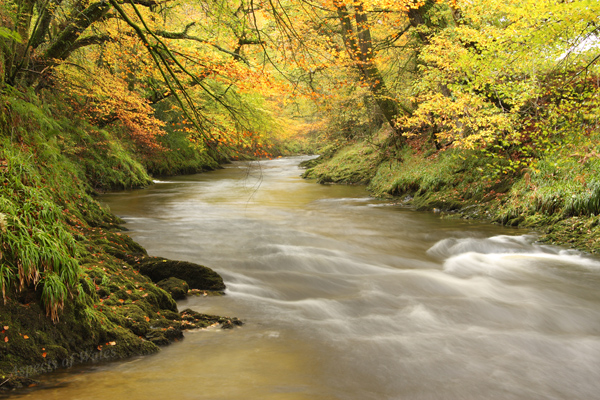 Afon Tywi, Cilycwm, Llandovery