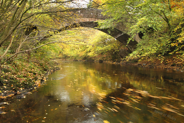 Pont Newydd, Cilycwm, Llandovery