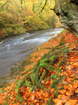 Afon Tywi near Llandovery, Carmarthenshire