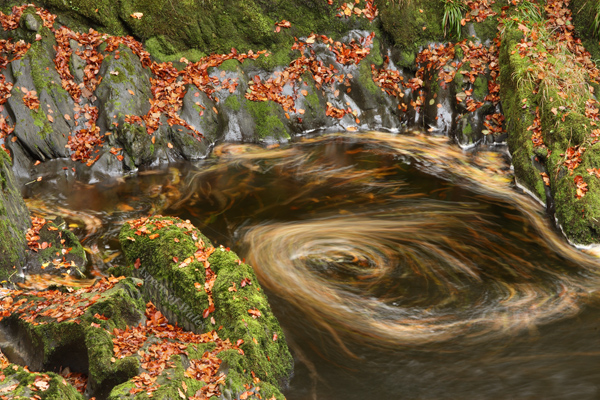 Afon Tywi, Cilycwm, Llandovery